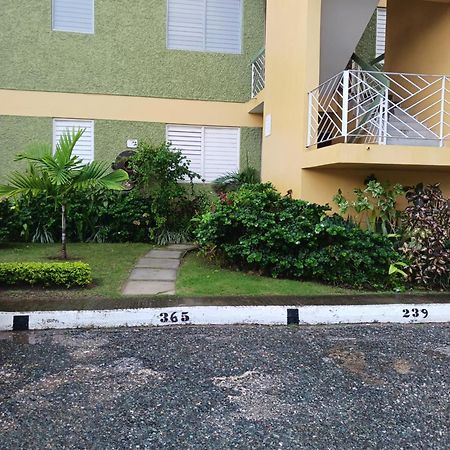 Chelsea Manor Apartment คิงส์ตัน ภายนอก รูปภาพ