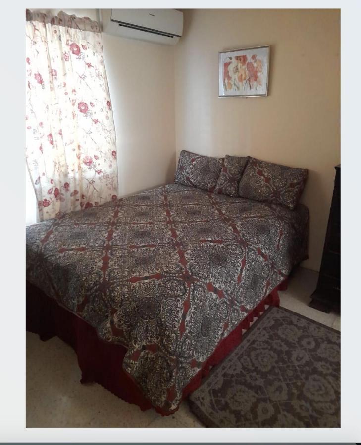 Chelsea Manor Apartment คิงส์ตัน ภายนอก รูปภาพ